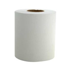 Trusoft Centrefeed Towel Recycled 300m 6 Rolls
